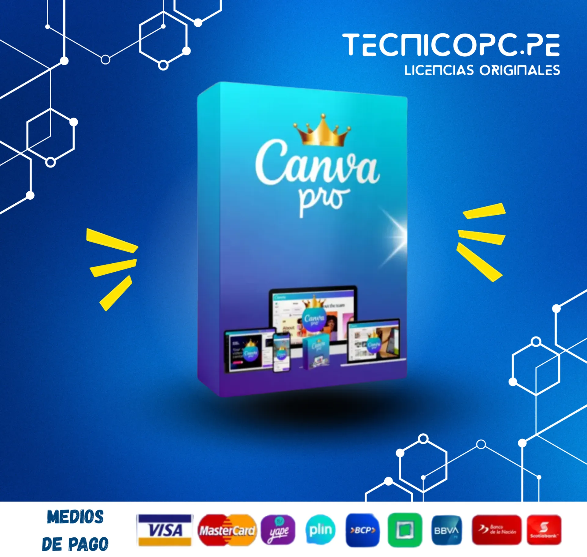 Canva Pro