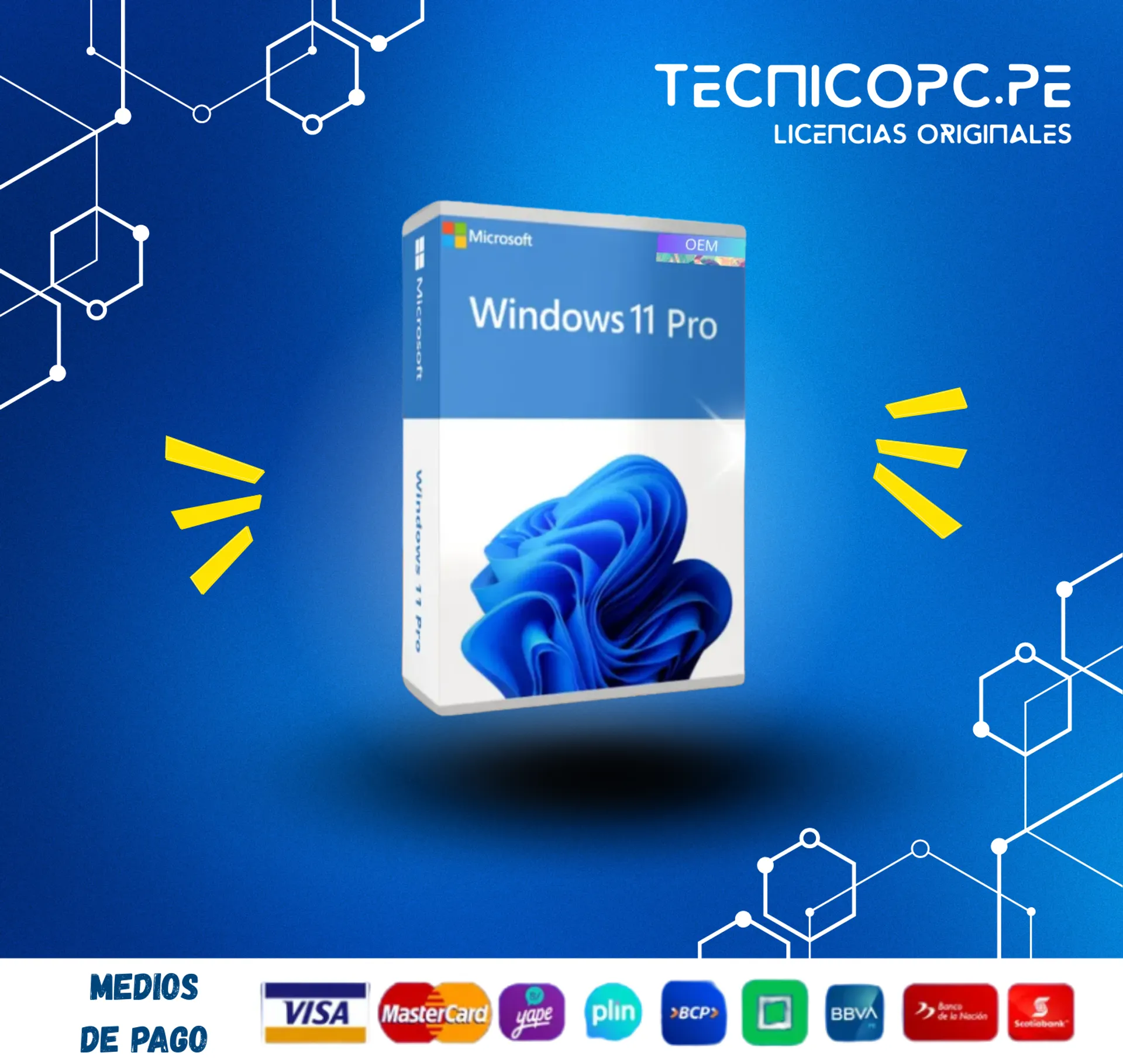 Windows 11